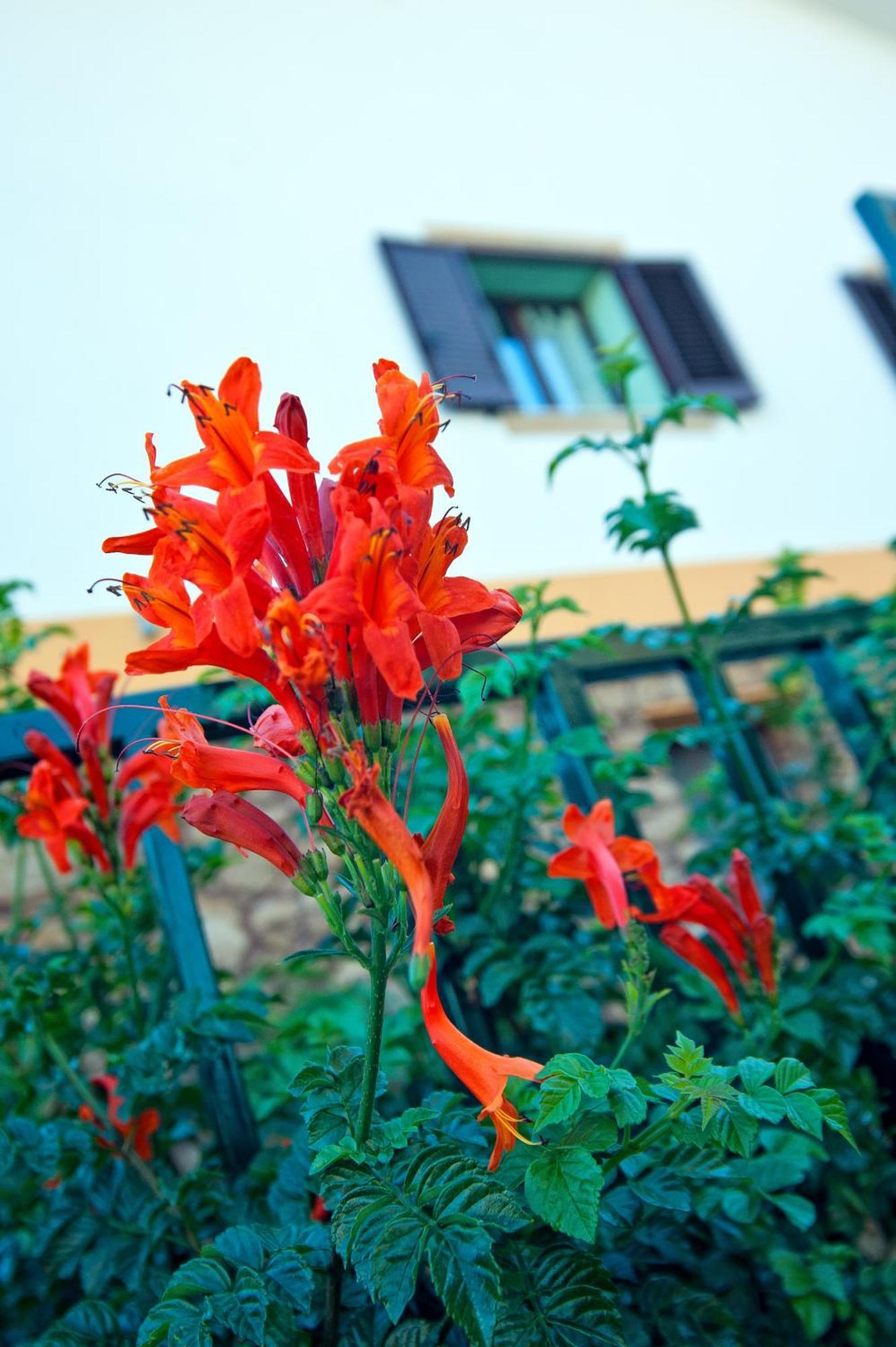 Casale La Zagara Aparthotel Sciacca Exteriör bild