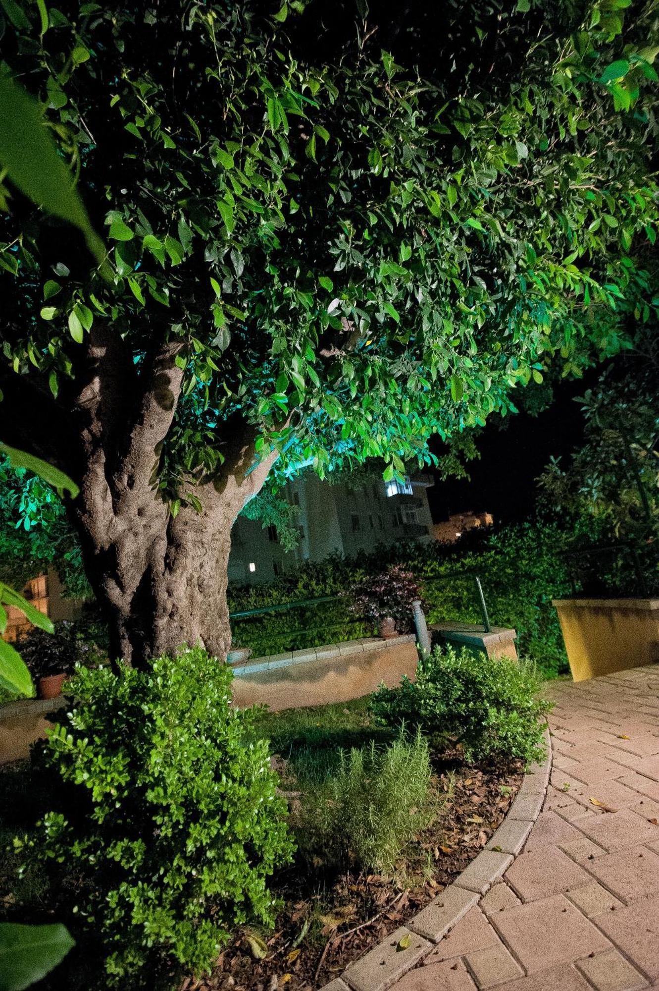 Casale La Zagara Aparthotel Sciacca Rum bild
